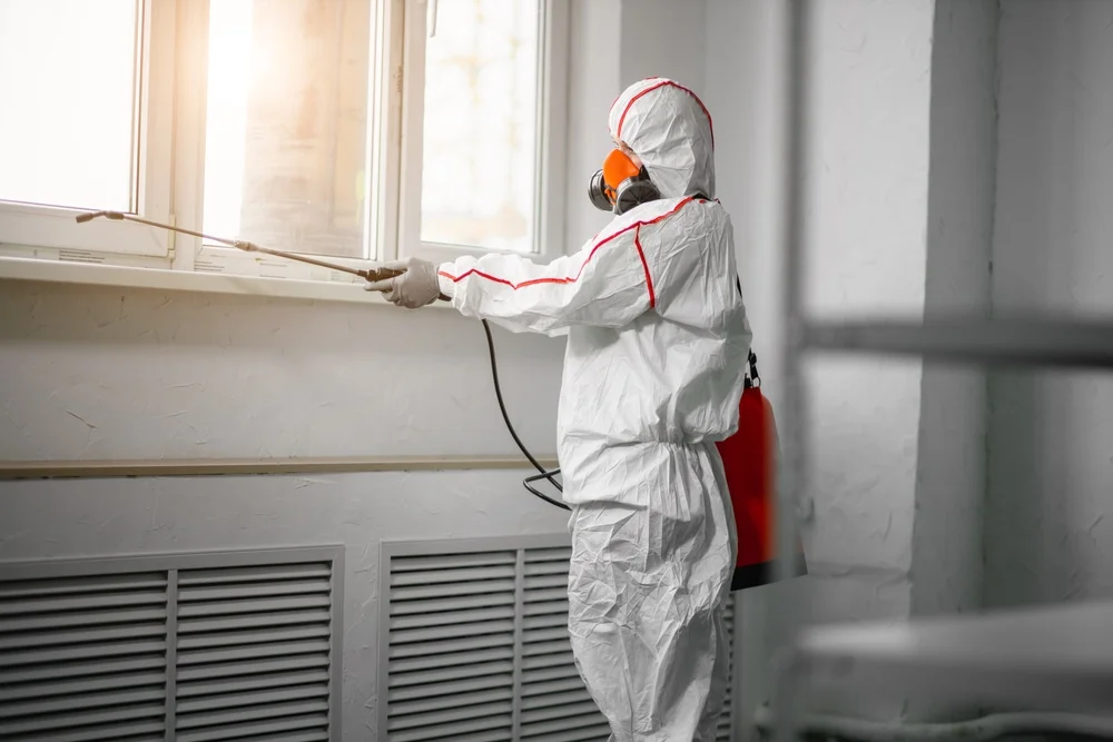 Professional mold remediation services in Ladonia, TX